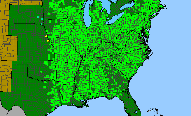The range of Quercus alba